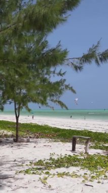 Zanzibar, Tanzanya - okyanus kıyısında dikey video uçurtmaları, yavaş çekim