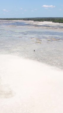 Zanzibar, Tanzanya - kıyıya yakın okyanusta alçak gelgitin dikey videosu, yavaş çekim