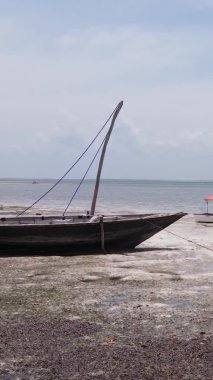 Zanzibar, Tanzanya - kıyıya yakın okyanusta alçak gelgitin dikey videosu, yavaş çekim
