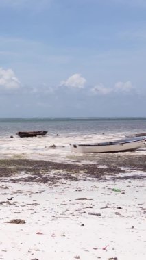 Zanzibar, Tanzanya - kıyıya yakın okyanusta alçak gelgitin dikey videosu, yavaş çekim