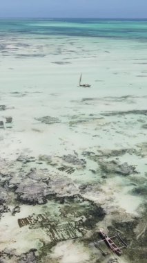 Zanzibar, Tanzanya - kıyıya yakın okyanusta alçak gelgitin dikey videosu, yavaş çekim