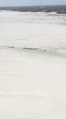 Zanzibar, Tanzanya - kıyıya yakın okyanusta alçak gelgitin dikey videosu, yavaş çekim