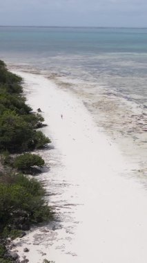 Zanzibar, Tanzanya - kıyıya yakın okyanusta alçak gelgitin dikey videosu, yavaş çekim