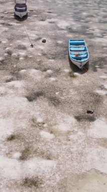 Zanzibar, Tanzanya - kıyıya yakın okyanusta alçak gelgitin dikey videosu, yavaş çekim