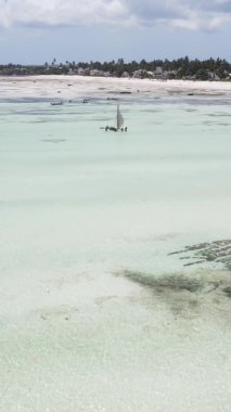 Zanzibar, Tanzanya - kıyıya yakın okyanusta alçak gelgitin dikey videosu, yavaş çekim
