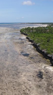 Zanzibar, Tanzanya - kıyıya yakın okyanusta alçak gelgitin dikey videosu, yavaş çekim
