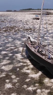 Zanzibar, Tanzanya - kıyıya yakın okyanusta alçak gelgitin dikey videosu, yavaş çekim