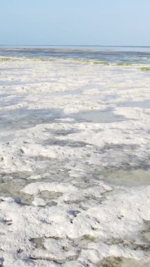 Zanzibar, Tanzanya - kıyıya yakın okyanusta alçak gelgitin dikey videosu, yavaş çekim