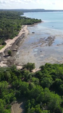Zanzibar, Tanzanya - kıyıya yakın okyanusta alçak gelgitin dikey videosu, yavaş çekim