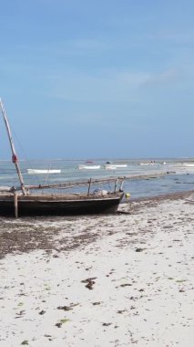 Zanzibar, Tanzanya - kıyıya yakın okyanusta alçak gelgitin dikey videosu, yavaş çekim