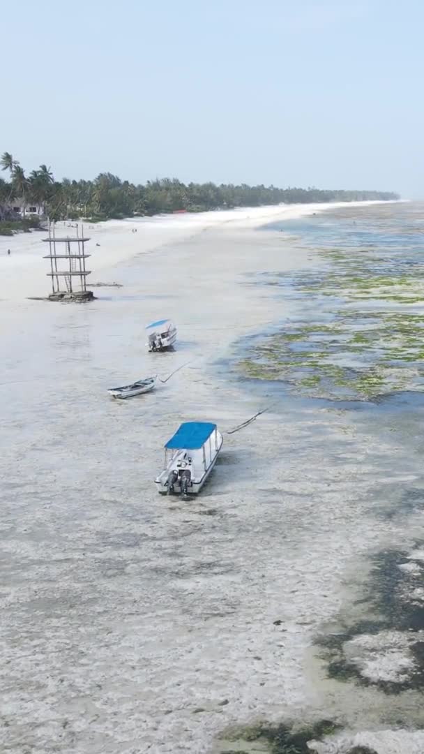 Zanzibár Tanzánia Függőleges Videó Apályról Óceán Partjainál Lassított Felvétel — Stock videók