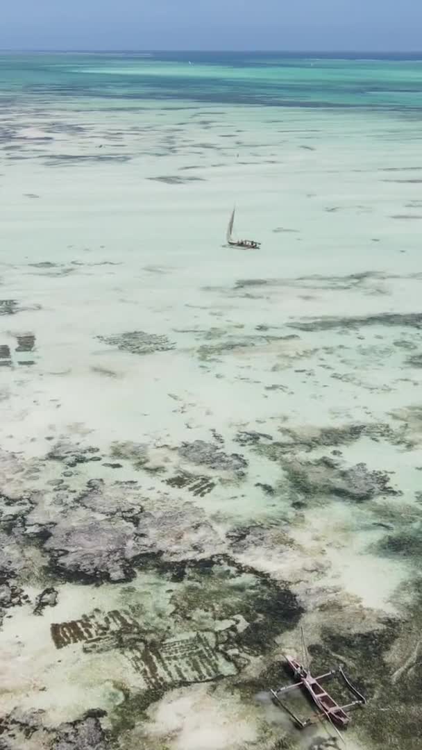 Zanzibar Tanzanya Kıyıya Yakın Okyanusta Alçak Gelgitin Dikey Videosu Yavaş — Stok video