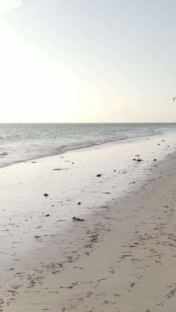 Zanzibar Tanzania Verticale Video Van Laagwater Oceaan Bij Kust Slow — Stockvideo