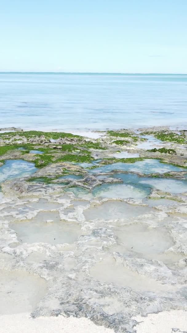 Zanzibar Tanzania Video Verticale Della Bassa Marea Nell Oceano Vicino — Video Stock