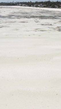 Zanzibar, Tanzanya - kıyıya yakın okyanusta alçak gelgitin dikey videosu, yavaş çekim