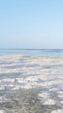 Zanzibar, Tanzanya - kıyıya yakın okyanusta alçak gelgitin dikey videosu, yavaş çekim