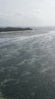 Zanzibar, Tanzanya - kıyıya yakın okyanusta alçak gelgitin dikey videosu, yavaş çekim