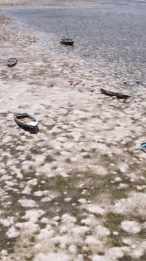 Zanzibar, Tanzanya - kıyıya yakın okyanusta alçak gelgitin dikey videosu, yavaş çekim