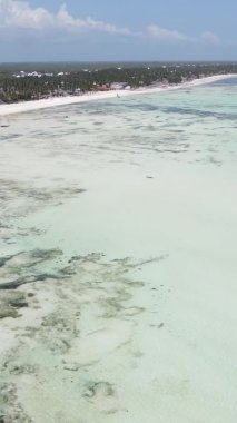 Zanzibar, Tanzanya - kıyıya yakın okyanusta alçak gelgitin dikey videosu, yavaş çekim