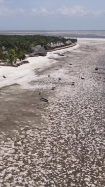Zanzibar, Tanzanya - kıyıya yakın okyanusta alçak gelgitin dikey videosu, yavaş çekim
