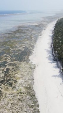 Zanzibar, Tanzanya - kıyıya yakın okyanusta alçak gelgitin dikey videosu, yavaş çekim