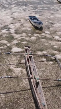 Zanzibar, Tanzanya - kıyıya yakın okyanusta alçak gelgitin dikey videosu, yavaş çekim