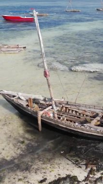 Zanzibar, Tanzanya - kıyıya yakın okyanusta alçak gelgitin dikey videosu, yavaş çekim