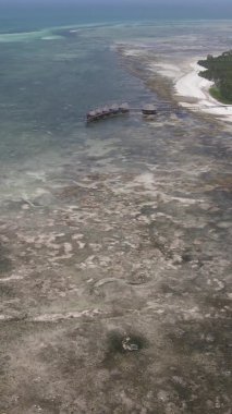 Zanzibar, Tanzanya - kıyıya yakın okyanusta alçak gelgitin dikey videosu, yavaş çekim