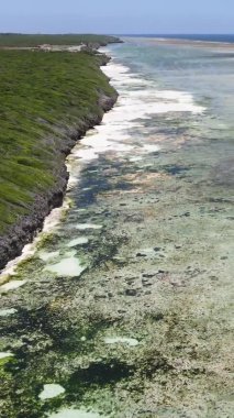 Zanzibar, Tanzanya - kıyıya yakın okyanusta alçak gelgitin dikey videosu, yavaş çekim