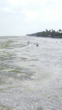 Zanzibar, Tanzanya - kıyıya yakın okyanusta alçak gelgitin dikey videosu, yavaş çekim
