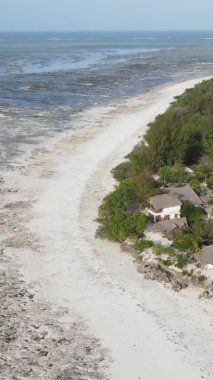 Zanzibar, Tanzanya - kıyıya yakın okyanusta alçak gelgitin dikey videosu, yavaş çekim