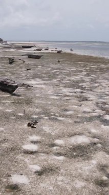 Zanzibar, Tanzanya - kıyıya yakın okyanusta alçak gelgitin dikey videosu, yavaş çekim