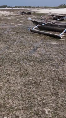 Zanzibar, Tanzanya - kıyıya yakın okyanusta alçak gelgitin dikey videosu, yavaş çekim