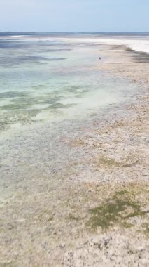Zanzibar, Tanzanya - kıyıya yakın okyanusta alçak gelgitin dikey videosu, yavaş çekim