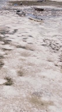 Zanzibar, Tanzanya - kıyıya yakın okyanusta alçak gelgitin dikey videosu, yavaş çekim