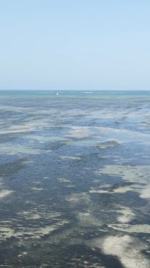 Zanzibar, Tanzanya - kıyıya yakın okyanusta alçak gelgitin dikey videosu, yavaş çekim