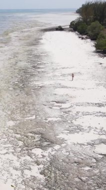 Zanzibar, Tanzanya - kıyıya yakın okyanusta alçak gelgitin dikey videosu, yavaş çekim