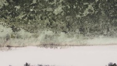 Zanzibar, Tanzanya - kıyıya yakın okyanusta alçak gelgitin dikey videosu, yavaş çekim