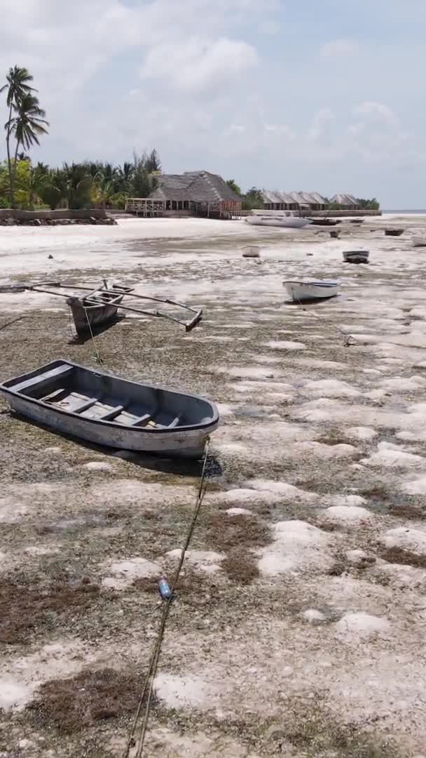 Zanzibár Tanzánia Függőleges Videó Apályról Óceán Partjainál Lassított Felvétel — Stock videók