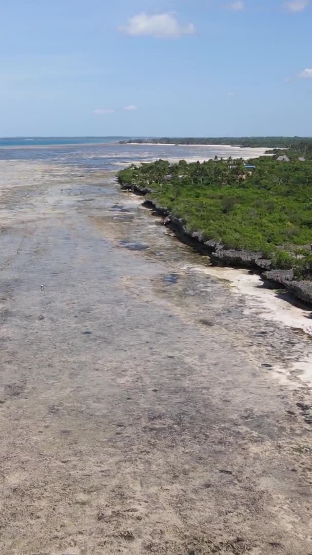 Zanzibar Τανζανία Κάθετο Βίντεο Χαμηλή Παλίρροια Στον Ωκεανό Κοντά Στην — Αρχείο Βίντεο
