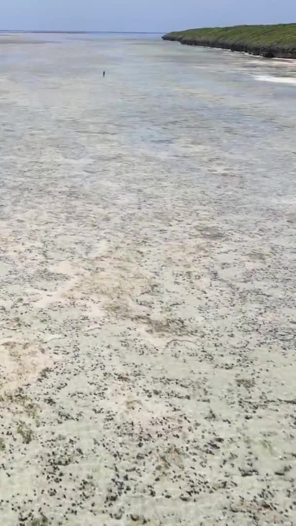 Занзибар Танзания Вертикальное Видео Отлива Океане Побережья Замедленное Движение — стоковое видео