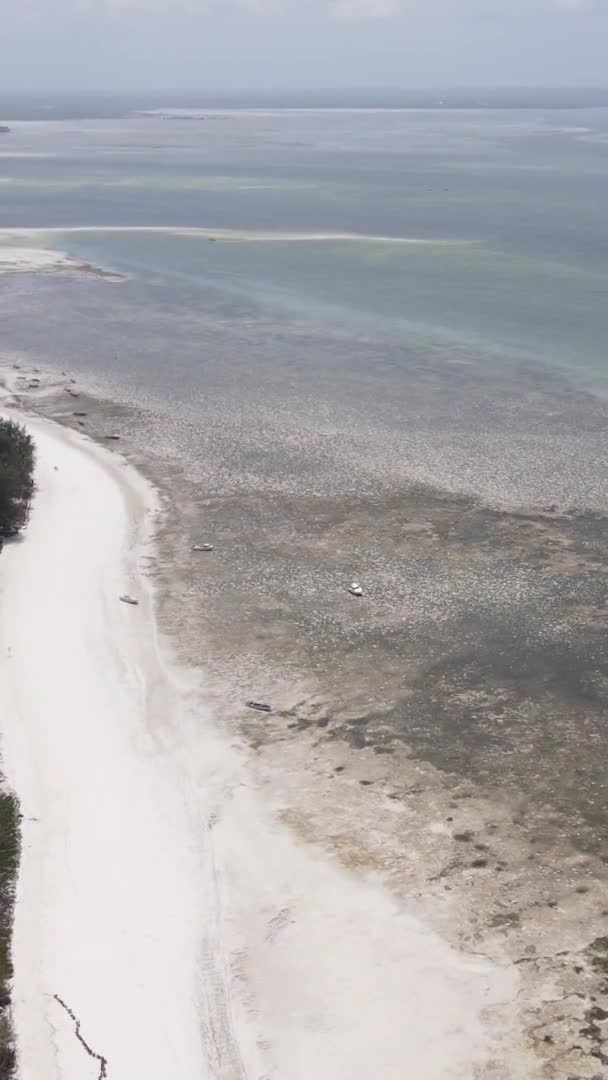 Zanzibar Tanzanie Vidéo Verticale Marée Basse Dans Océan Près Côte — Video