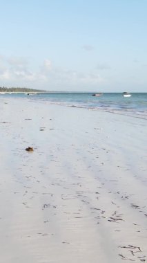 Zanzibar, Tanzanya - kıyıya yakın okyanusta alçak gelgitin dikey videosu, yavaş çekim