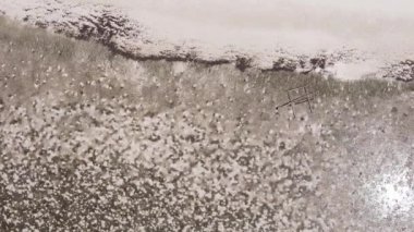 Zanzibar, Tanzanya - kıyıya yakın okyanusta alçak gelgitin dikey videosu, yavaş çekim