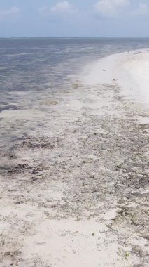 Zanzibar, Tanzanya - kıyıya yakın okyanusta alçak gelgitin dikey videosu, yavaş çekim