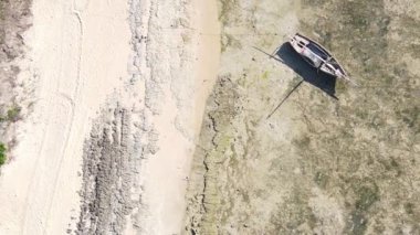 Zanzibar, Tanzanya - kıyıya yakın okyanusta alçak gelgitin dikey videosu, yavaş çekim