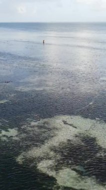 Zanzibar, Tanzanya - kıyıya yakın okyanusta alçak gelgitin dikey videosu, yavaş çekim