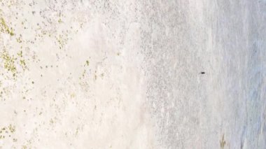 Zanzibar, Tanzanya - kıyıya yakın okyanusta alçak gelgitin dikey videosu, yavaş çekim