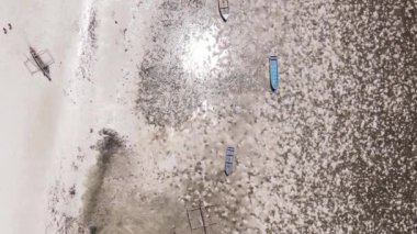 Zanzibar, Tanzanya - kıyıya yakın okyanusta alçak gelgitin dikey videosu, yavaş çekim