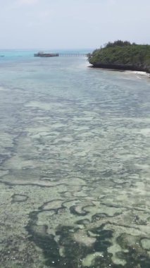Zanzibar, Tanzanya - kıyıya yakın okyanusta alçak gelgitin dikey videosu, yavaş çekim
